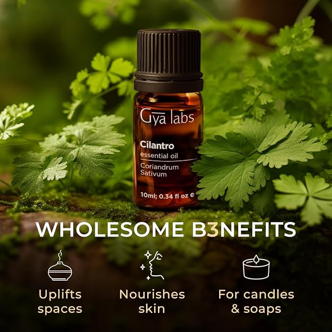 Gya Labs Cilantro Essential Oil for Diffusers - 0.34 Fl Oz - 100% Natural Cilantro Oil for for Skin, Massage, Aromatherapy & Candle Making Scent-HomvellaHome