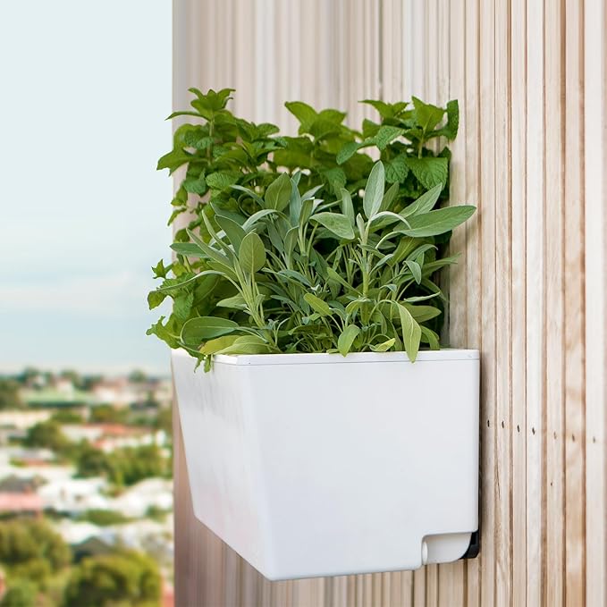 Glowpear Self Watering Planter Box - 23.6", White - UV Stable, Scalable Wall Mounts Plant Pot with Water Gauge, Indoor Outdoor for Vegetables, Flowers, Herbs, and Succulents, Gardening-HomvellaHome