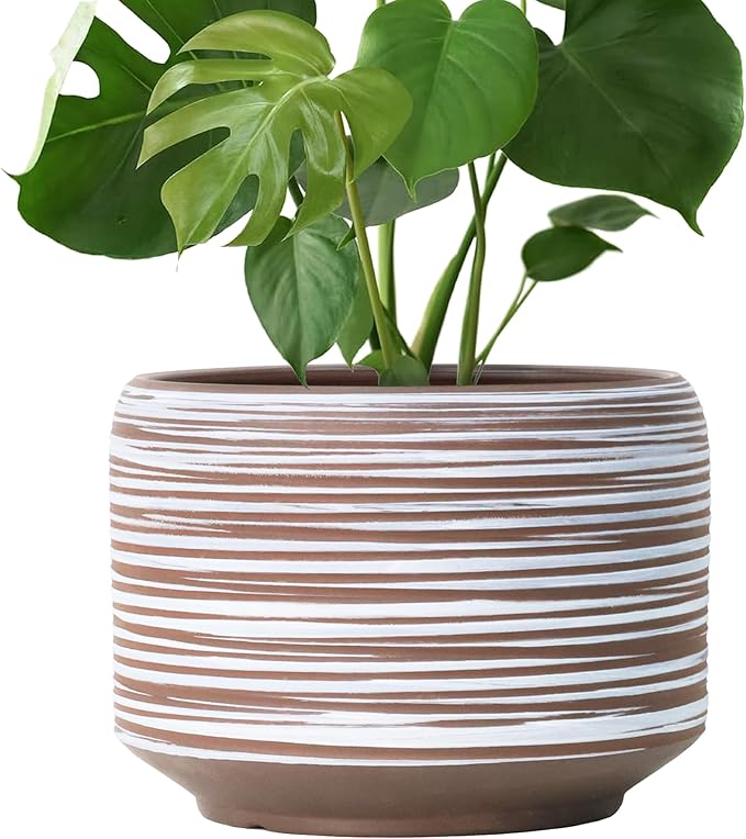 10 Inch Ceramic Plant Pot with Drainage – Large Flower Pot for Indoor Outdoor Plants, Modern Decorative Planter for Patio, Balcony, Garden, or Home Decor-HomvellaHome