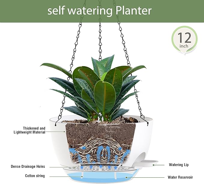 12 Inch Hanging Baskets 2 PC with Chains, Self-Watering Hanging Planters for Indoor Outdoor Plants, Plastic Hanging Flower Pots,White-HomvellaHome