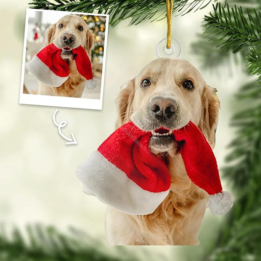 DOPTIKA Personalized Dog & Cat Photo Ornaments, Custom Photo Ornament Gifts for Pet Lovers, 2D Acrylic Christmas Ornaments for Christmas Tree 2025, Cute Pet Ornament