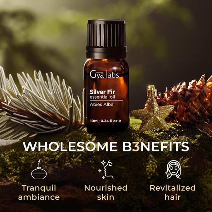 Gya Labs Silver Fir Essential Oil for Diffuser - 0.34 Fl Oz - 100% Pure Natural Silver Fir Oil for Skin, Hair, Aromatherapy & Candle Making Scent-HomvellaHome