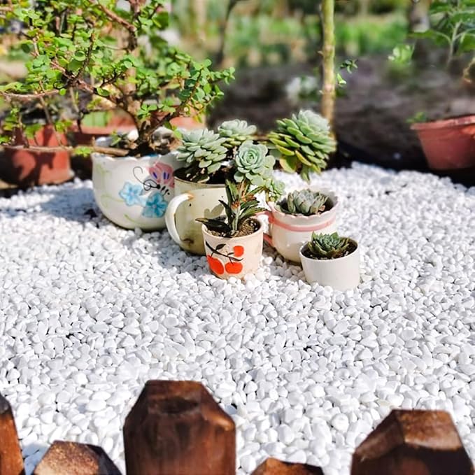 10LB Succulent and Cactus Gravel, 1/5 Inch White Natural Decorative Polished Pebbles for Landscaping, River Rocks for Plants, Vases, Aquariums, Terrarium and Outdoor Gardening-HomvellaHome