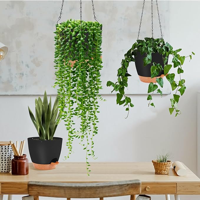 GARDIFE Hanging planters for Indoor Plants, 8 inch Hanging Planter, Self Watering Plant Pot, 2 Pack self Watering Hanging Planter, Black-HomvellaHome