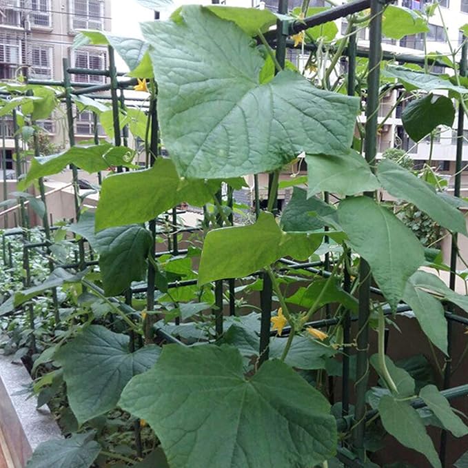 Garmeinea Garden Stakes 30 Inches Plastic Coated Steel Plant Stakes for Growing Climbing Plants, Pack of 25-HomvellaHome