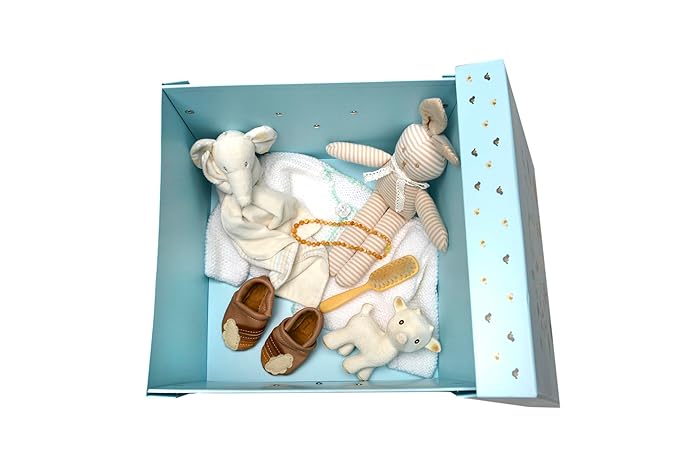 GroWings Baby Keepsake Box - Large Memory Storage for Newborns, Suitable for Boys and Girls, Strong, Durable, and Collapsible Gifts-HomvellaHome