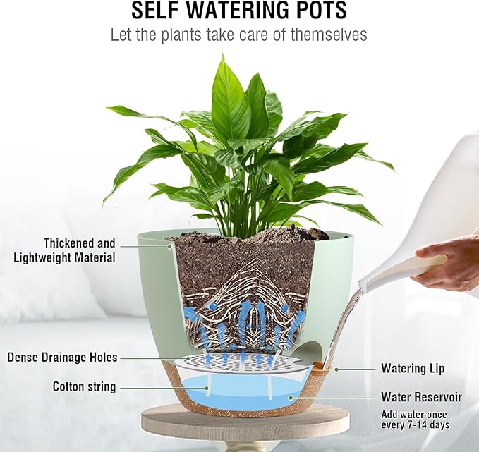 10 inch Self Watering Hanging Planters for Indoor Plants, 2 Pack Hanging Baskets for Outdoor Plants, Hanging Flower Pots with Drainage Holes & 2 Kinds of Plant Hangers for Home Decor, Green-HomvellaHome