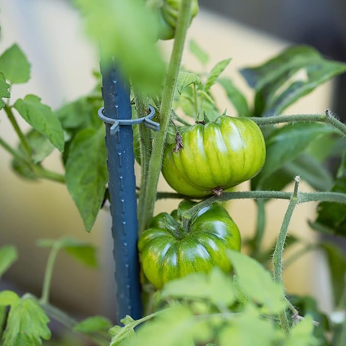 Garden Plant Stakes 36 Inch 3Ft Steel Plant Stick Support, 25 Pack Tomato Stakes for Growing Climbing Plants, Potted Plants, Tomatoes, Trees, Cucumber, Beans, Fences Poles-HomvellaHome