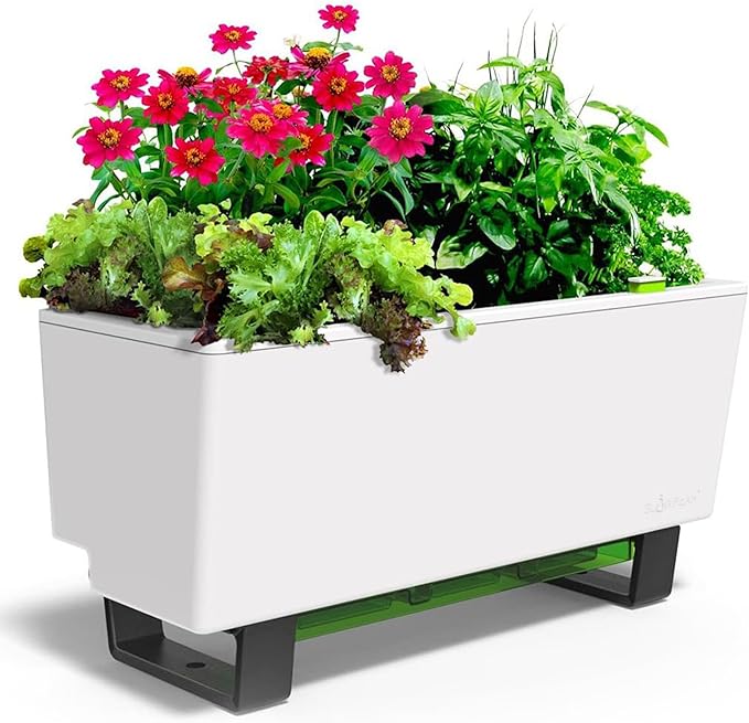 Glowpear Self-Watering Mini Bench Planter - 23.6" in Pot, Free Standing, UV Stable, Scalable, Indoor | Outdoor Pot with Water Gauge, for Home Kitchen Windowsill Gardening-HomvellaHome