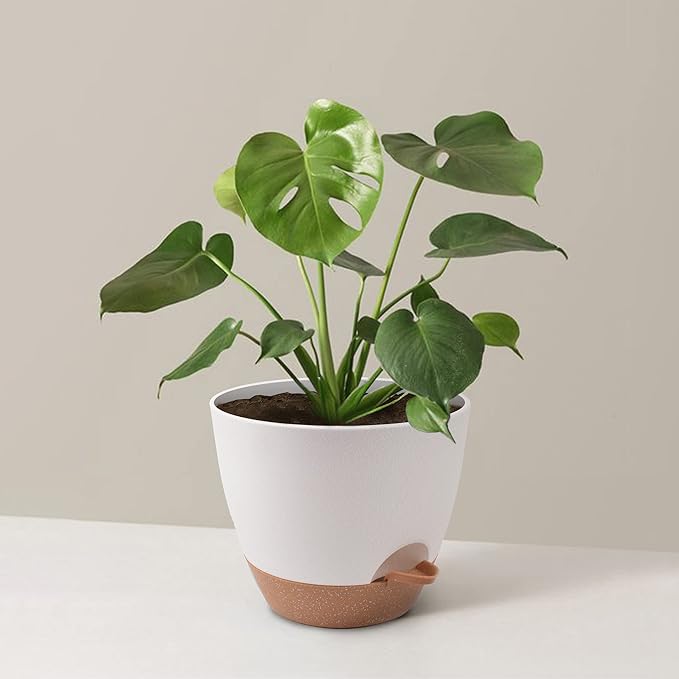 Giraffe Creation Plant Pots Set of 3 (12/10/9 inch), Self-Watering Indoor & Outdoor Flower Planters with Drainage Hole and Reservoir, White-HomvellaHome