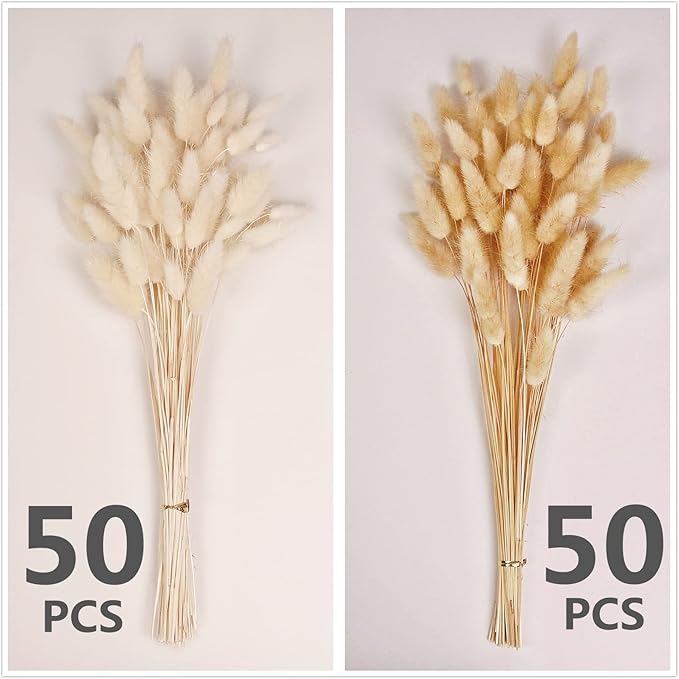 120 PCS Bunny Tails Dried Flowers, Dried Pampas Grass Bouquet, Boho Table Decor, White Pampas Grass Small, Dried Bunny Tails, Pampas Grass for Wedding, Home, Rustic Party, Baby Shower Decorations-HomvellaHome