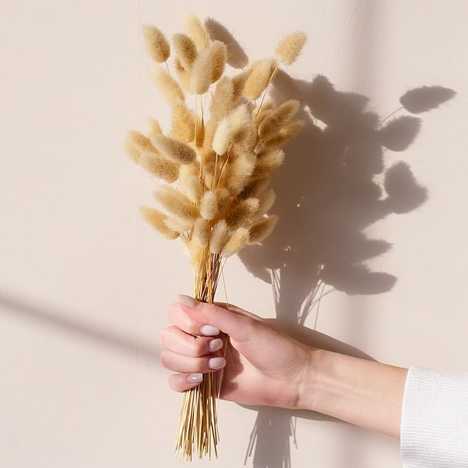 120 PCS Bunny Tails Dried Flowers, Dried Pampas Grass Bouquet, Boho Table Decor, White Pampas Grass Small, Dried Bunny Tails, Pampas Grass for Wedding, Home, Rustic Party, Baby Shower Decorations-HomvellaHome