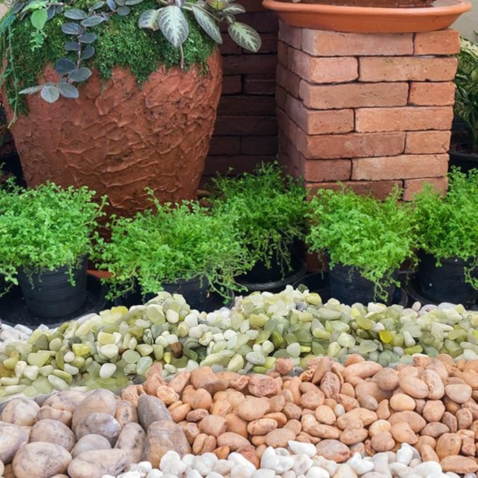 10LB Succulent and Cactus Pebbles, 1/5 Inch Jade Natural Decorative Polished Stones, River Rocks for Plants, Vases and Outdoor Gardening,Green-HomvellaHome