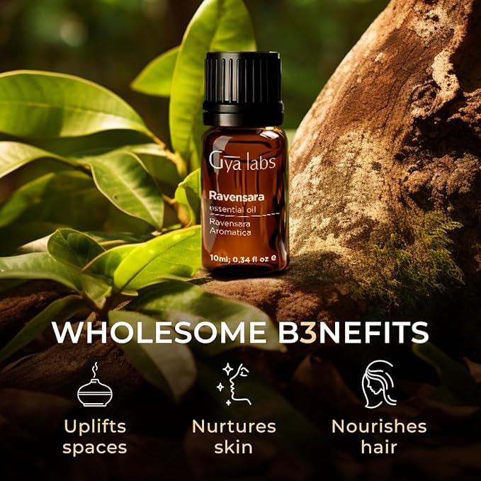 Gya Labs Ravensara Essential Oil for Diffuser - 0.34 Fl Oz - 100% Pure Natural Ravensara Oil for Skin, Hair, Aromatherapy & Candle Making Scent-HomvellaHome