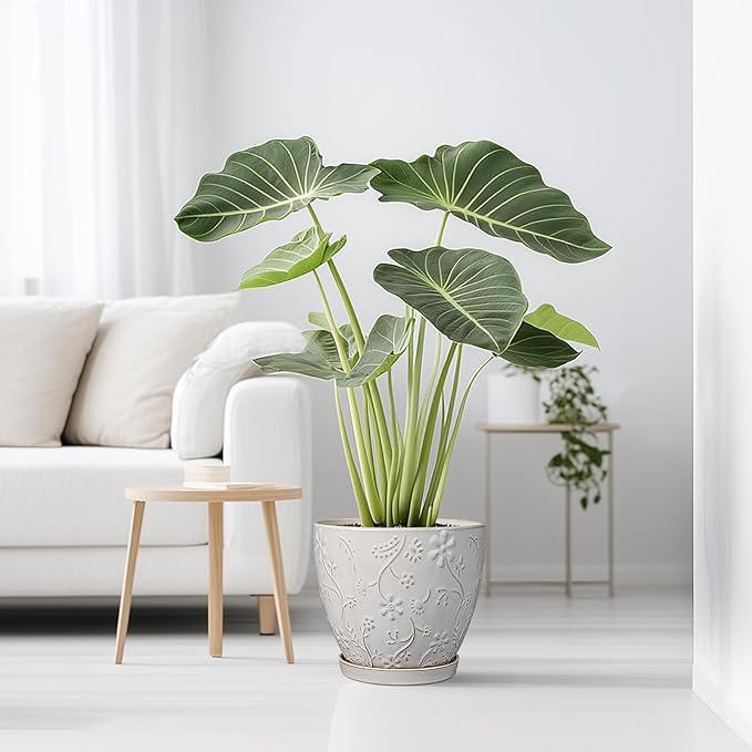 10 Inch Plant Pot Ceramic Planter Pot with Drainage Hole and Saucer Round Planter Large Flower Pot for Indoor Outdoor Plants Home Garden Decor White-HomvellaHome