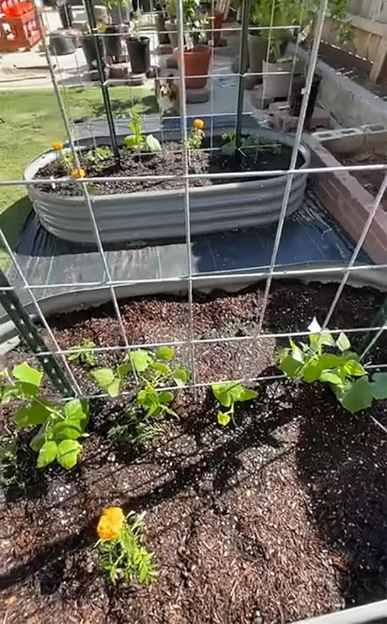 2 Pack 8x4x1FT Galvanized Raised Garden Bed Kit Oval Metal Ground Planter Box Outdoor Bottomless Planter Raised Beds for Vegetables Flowers Herbs Fruits, Gray-HomvellaHome