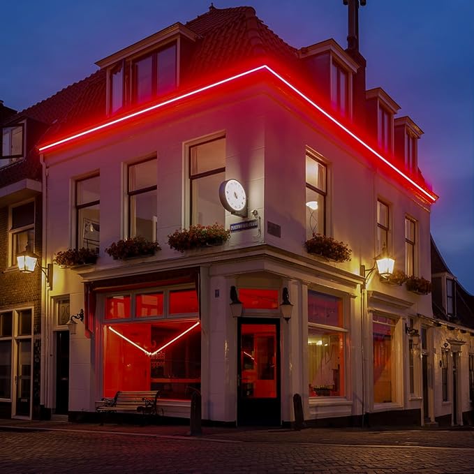 GZBtech Flexible LED Neon Rope Lights 66FT,AC 110-120V Waterproof Strip Light, 120 LEDs/M Cuttable Connectable Neon Lighting for Indoor Outdoor Home Decor/Commercial Building Use-Red 20M-HomvellaHome
