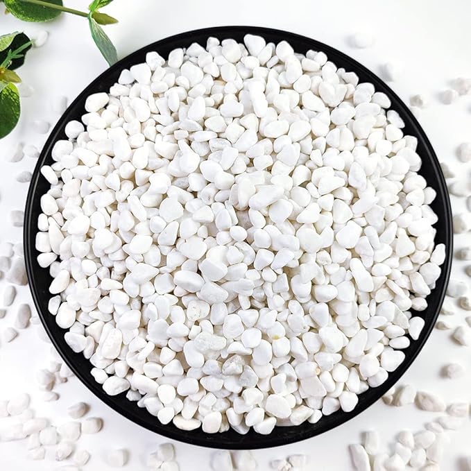 10LB Succulent and Cactus Gravel, 1/5 Inch White Natural Decorative Polished Pebbles for Landscaping, River Rocks for Plants, Vases, Aquariums, Terrarium and Outdoor Gardening-HomvellaHome