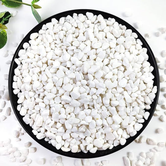 10LB Succulent and Cactus Gravel, 1/5 Inch White Natural Decorative Polished Pebbles for Landscaping, River Rocks for Plants, Vases, Aquariums, Terrarium and Outdoor Gardening-HomvellaHome