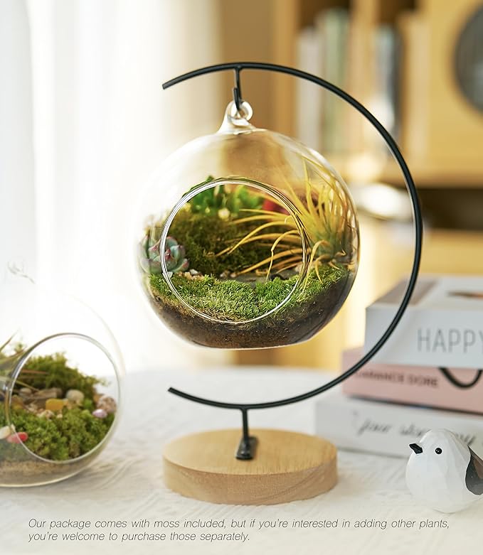 15-Piece Terrarium Kit with Live Moss – DIY Glass Globe Set with Tools, Soil, Stones & Spray Bottle – Indoor Mini Garden Gift for Plant Lovers, Home Decor & Zen Craft-HomvellaHome