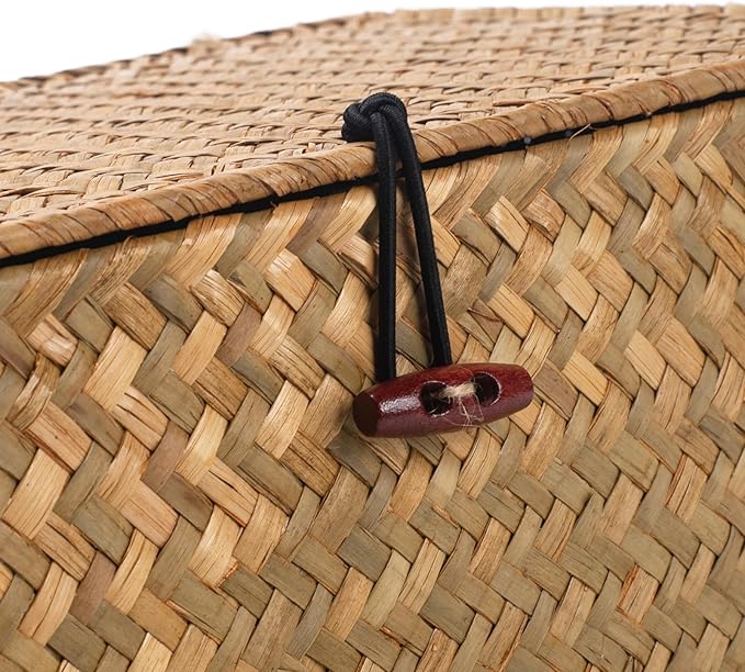 Wicker Basket with Lid, Seagrass Storage Basket, Woven Baskets for Storage, Decorative Storage Baskets for Shelf Organizing, Natural-HomvellaHome