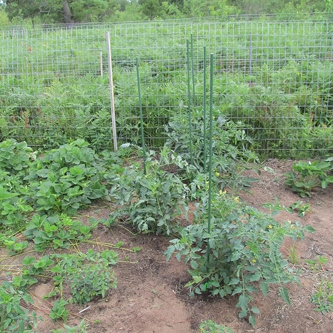 Garden Plant Stakes 57 Inch (Approx 5Ft) Steel Plant Stick Support, 25 Pack Tomato Stakes for Growing Climbing Plants, Potted Plants, Tomatoes, Trees, Cucumber, Beans, Fences Poles-HomvellaHome