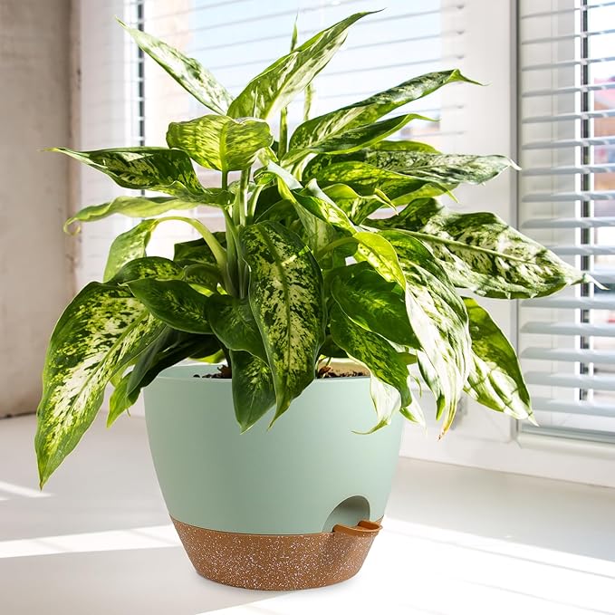 10/9/8 inch Self Watering Pots, Planter, Plant Pots with Mesh Drainage Holes for Indoor Outdoor Garden Plants, Plastic Flower Pots with Deep Reservoir for House Plants, Green with Brown-HomvellaHome