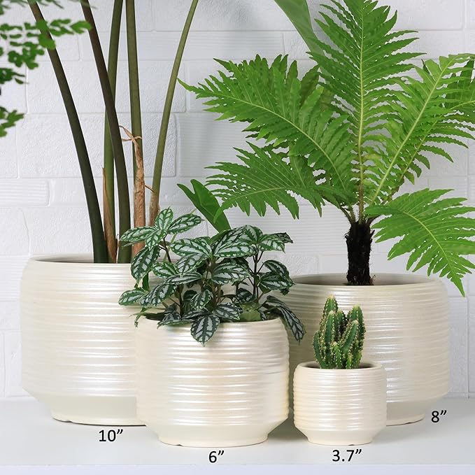 10 Inch Ceramic Plant Pot with Drainage – Large Flower Pot for Indoor Outdoor Plants, Modern Decorative Planter for Patio, Balcony, Garden, or Home Decor-HomvellaHome
