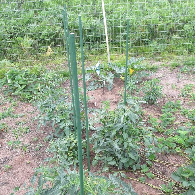 Garden Plant Stakes 36 Inch 3Ft Steel Plant Stick Support, 25 Pack Tomato Stakes for Growing Climbing Plants, Potted Plants, Tomatoes, Trees, Cucumber, Beans, Fences Poles-HomvellaHome