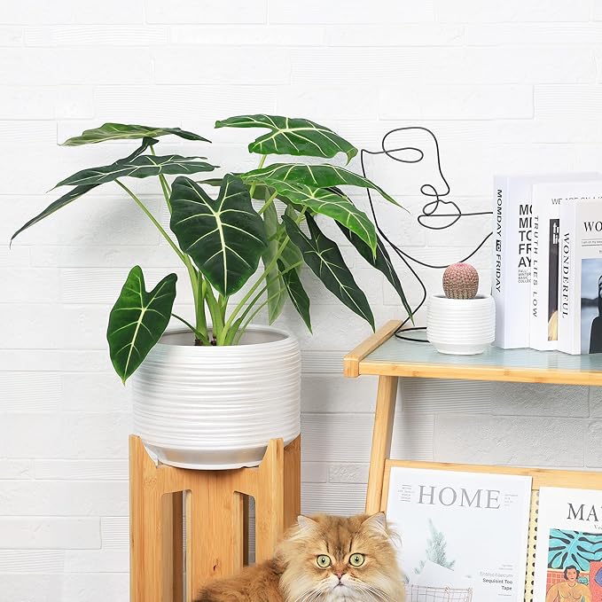 10 Inch Ceramic Plant Pot with Drainage – Large Flower Pot for Indoor Outdoor Plants, Modern Decorative Planter for Patio, Balcony, Garden, or Home Decor-HomvellaHome