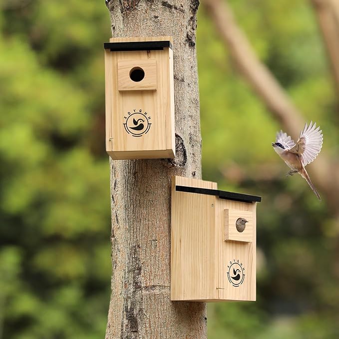 2 Pack Bird Houses for Outside,Bird House kit,Hummingbird House,Blue Bird House Outdoor Wren Swallow Finch-HomvellaHome