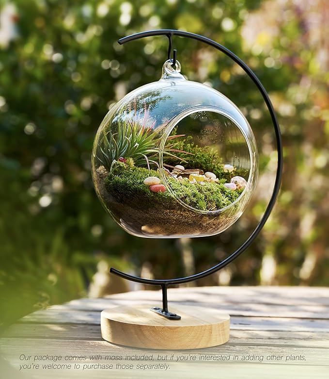 15-Piece Terrarium Kit with Live Moss – DIY Glass Globe Set with Tools, Soil, Stones & Spray Bottle – Indoor Mini Garden Gift for Plant Lovers, Home Decor & Zen Craft-HomvellaHome