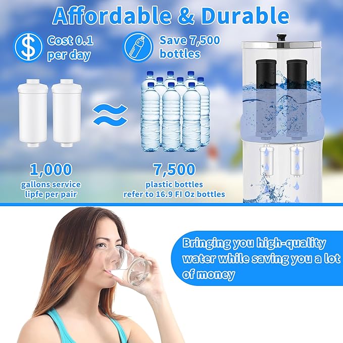 2 Pack Fluoride Water Filter,Replacement for PF-2® Fluoride Filters, Fluoride and Arsenic Filter Compatible with Berkey Gravity Filtration System、 Big、 Travel、 Royal、Imperial and Crown Series-HomvellaHome