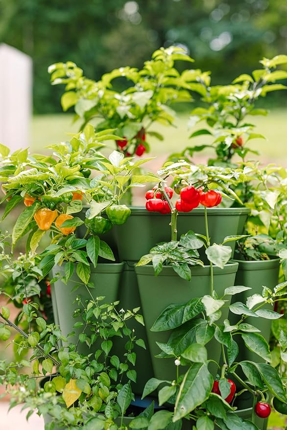 Greenstalk Patented Large 5 Tier Vertical Garden Planter with Patented Internal Watering System Great for Growing a Variety of Strawberries, Vegetables, Herbs, & Flowers (Evergreen)-HomvellaHome