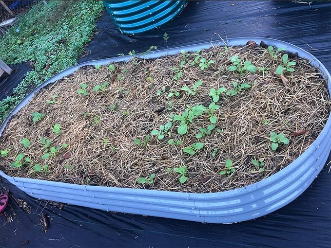 2 Pack 8x4x1FT Galvanized Raised Garden Bed Kit Oval Metal Ground Planter Box Outdoor Bottomless Planter Raised Beds for Vegetables Flowers Herbs Fruits, Gray-HomvellaHome