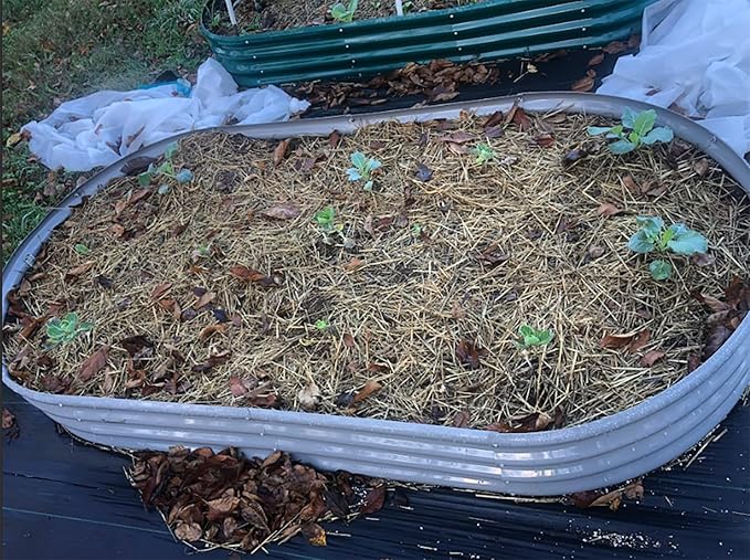 2 Pack 8x4x1FT Galvanized Raised Garden Bed Kit Oval Metal Ground Planter Box Outdoor Bottomless Planter Raised Beds for Vegetables Flowers Herbs Fruits, Gray-HomvellaHome