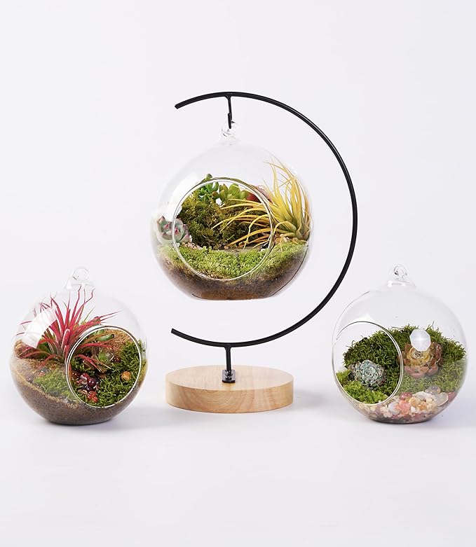 15-Piece Terrarium Kit with Live Moss – DIY Glass Globe Set with Tools, Soil, Stones & Spray Bottle – Indoor Mini Garden Gift for Plant Lovers, Home Decor & Zen Craft-HomvellaHome