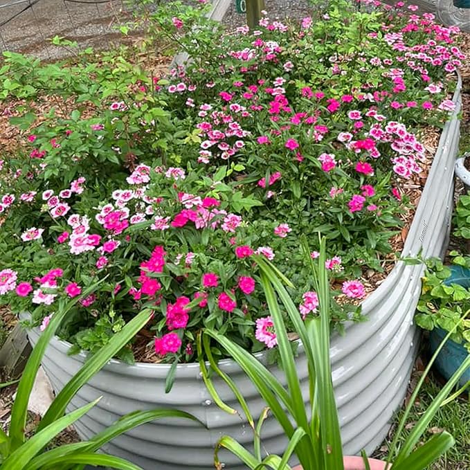 1 Pack 8x3x2FT Galvanized Raised Garden Bed Kit Oval Metal Ground Planter Box Outdoor Bottomless Planter Raised Beds for Vegetables Flowers Herbs Fruits, Gray-HomvellaHome