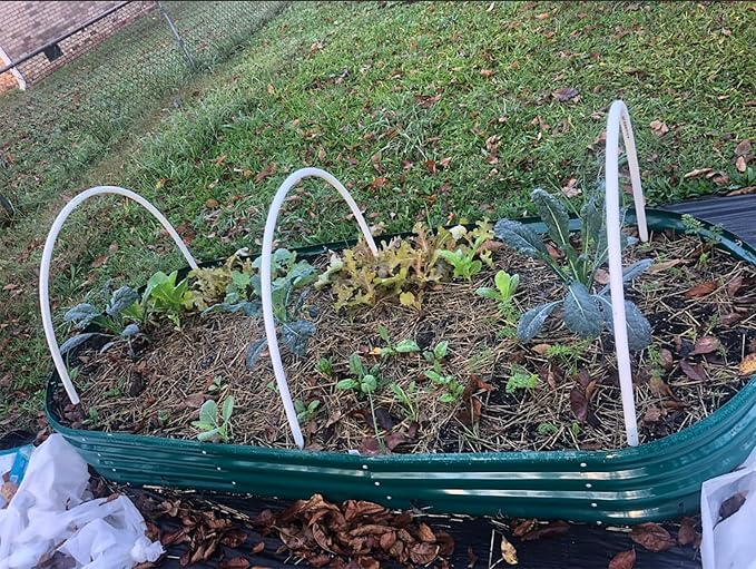 2 Pack 8x3x1FT Galvanized Raised Garden Bed Large Metal Planter Box Kit Elevated Raised Garden Planters for Outdoor Plants, Green-HomvellaHome