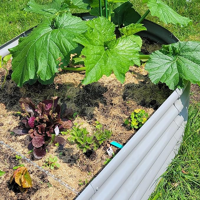 1 Pack 8x3x1.5FT Galvanized Raised Garden Bed Kit Oval Metal Ground Planter Box Outdoor Bottomless Planter Raised Beds for Vegetables Flowers Herbs Fruits, Gray-HomvellaHome