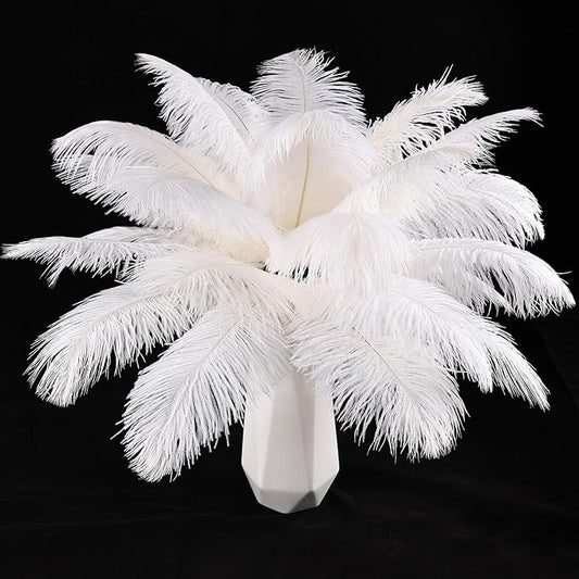 THARAHT White Ostrich Feathers 12pcs Natural Bulk 8-10Inch 20cm-25cm for Crafts Wedding Party Centerpieces Christmas Tree Decoration Feathers
