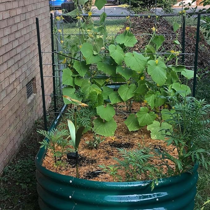 2 Pack 8x3x1FT Galvanized Raised Garden Bed Large Metal Planter Box Kit Elevated Raised Garden Planters for Outdoor Plants, Green-HomvellaHome