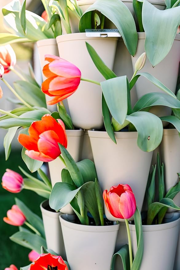 Greenstalk Patented Large 5 Tier Vertical Garden Planter with Patented Internal Watering System Great for Growing a Variety of Strawberries, Vegetables, Herbs, & Flowers (Stunning Stone)-HomvellaHome