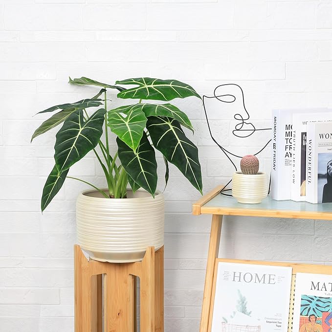 10 Inch Ceramic Plant Pot with Drainage – Large Flower Pot for Indoor Outdoor Plants, Modern Decorative Planter for Patio, Balcony, Garden, or Home Decor-HomvellaHome