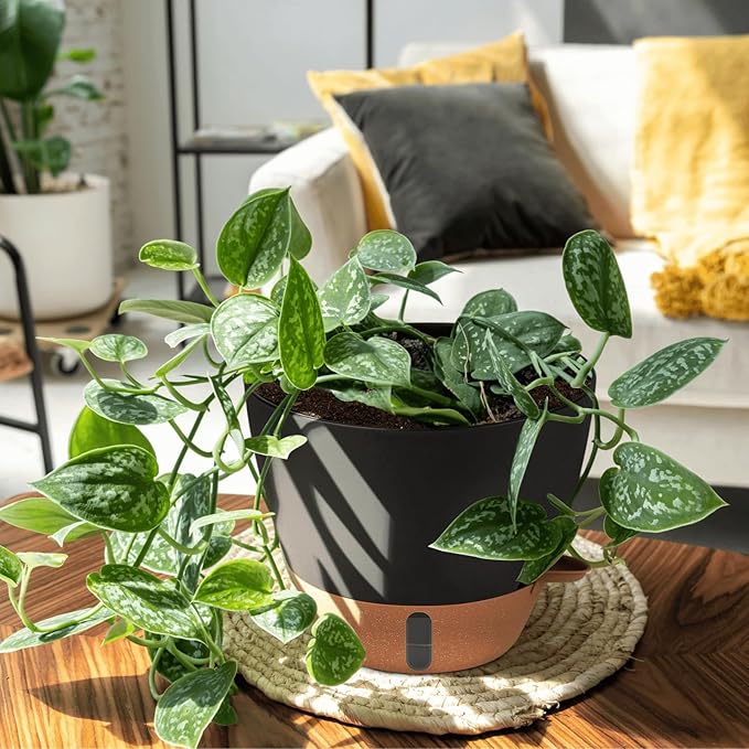 12/10/8 Inch Self Watering Pots for Indoor Plants Plastic Large Plant Pot for Outdoor Plants, Water Level Window & Spacious Reservoir Flower Pots Decorative Planter with Drainage and Tray (Black)-HomvellaHome