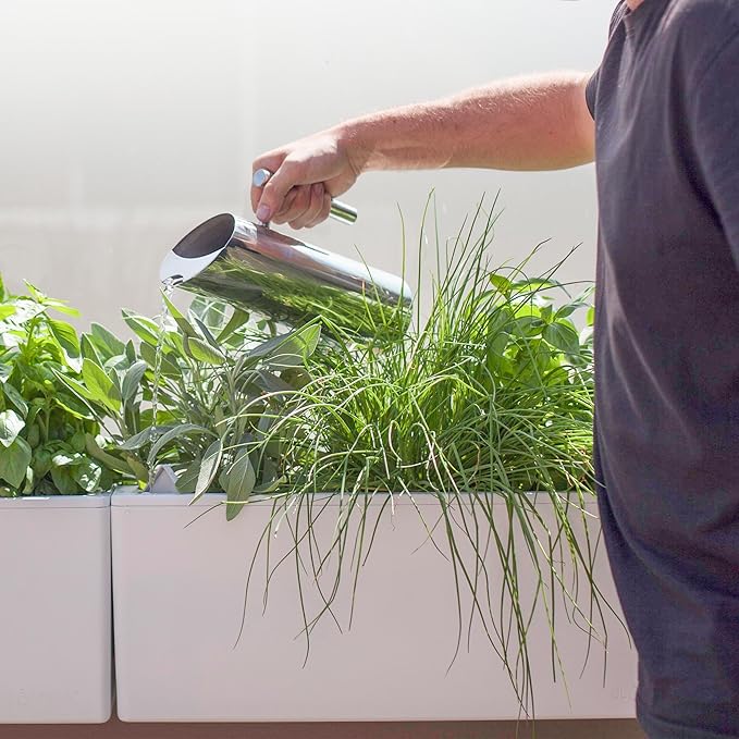 Glowpear Self Watering Planter Box - 23.6", White - UV Stable, Scalable Wall Mounts Plant Pot with Water Gauge, Indoor Outdoor for Vegetables, Flowers, Herbs, and Succulents, Gardening-HomvellaHome