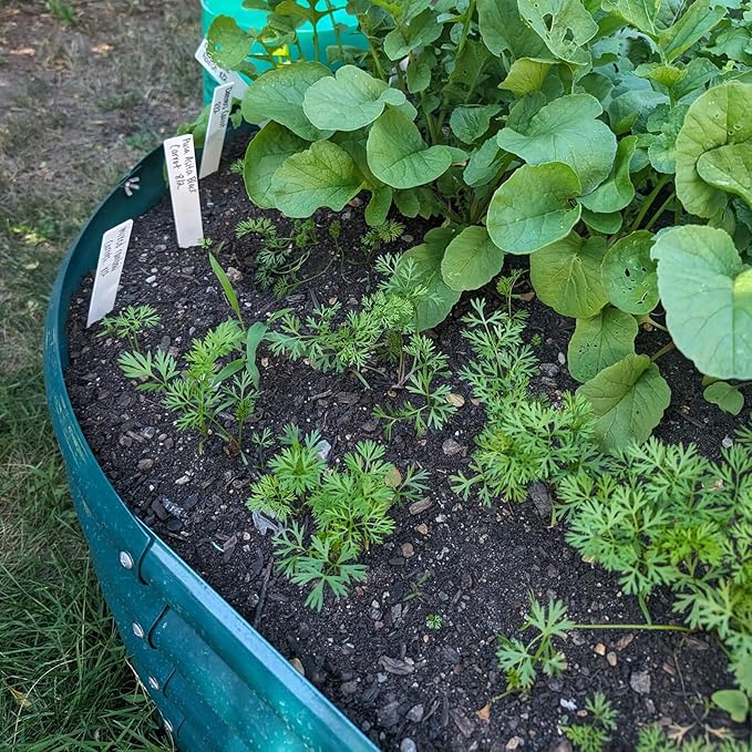 2 Pack 8x4x1FT Galvanized Raised Garden Bed Kit Oval Metal Ground Planter Box Outdoor Bottomless Planter Raised Beds for Vegetables Flowers Herbs Fruits, Green-HomvellaHome