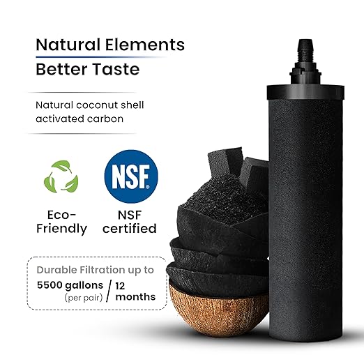 Gravity Water Filter System - 1.5 Gallons NSF Certified AISI 304 Stainless Steel Water Filter with 2 Smart (Black) Carbon Filter Elements & Free Stainless Steel Stand and Spigot (1.5G)-HomvellaHome
