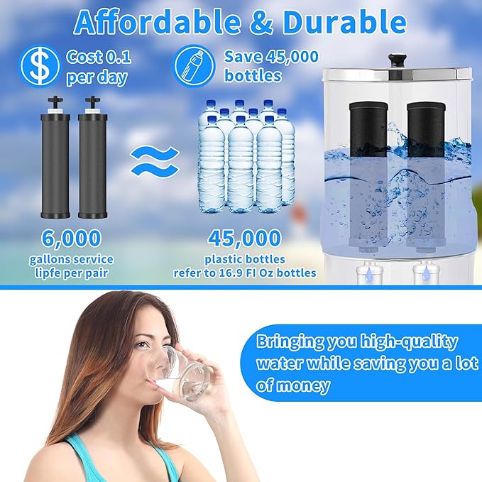 2 Pack Black Filters, Water Filter Replacement for Berkey BB9-2, Compatible with Berkey Gravity Water Filter Systems-HomvellaHome