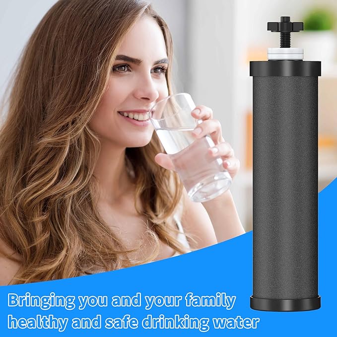 2 Pack Black Filters, Water Filter Replacement for Berkey BB9-2, Compatible with Berkey Gravity Water Filter Systems-HomvellaHome